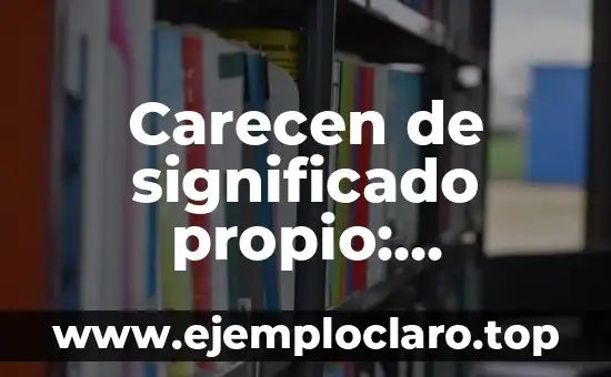Carecen de significado propio: Entendiendo elementos carentes de significado intrínseco