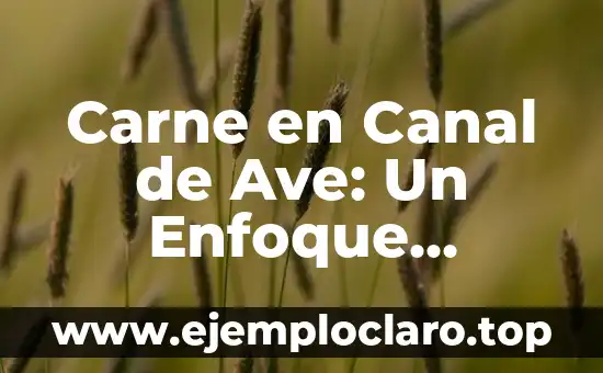 Comunidad de Bienes y Adquisiciones: Un Concepto Legal Integral 6 Carne en Canal de Ave: Un Enfoque Integral