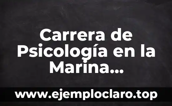 Carrera de Psicología en la Marina Mercante: Un Enfoque Profesional en el Sector Náutico