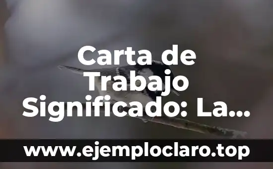 Carta de Trabajo Significado: La Guía Completa