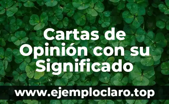 El Significado del Pensamiento Divergente: Guía Completa 6 Cartas de Opinión con su Significado
