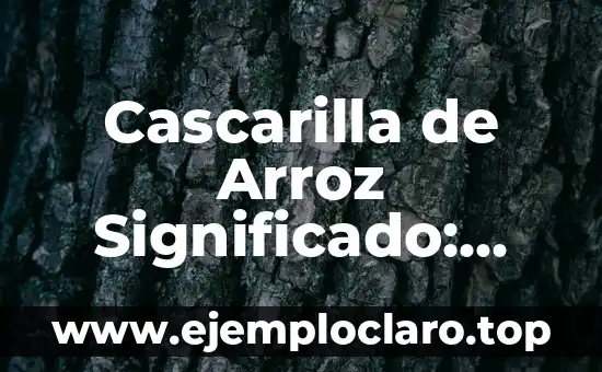 Cascarilla de Arroz Significado: Descubre su Importancia y Usos