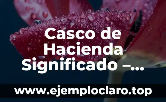 Hacienda Pública: Concepto y Funciones 8 Casco de Hacienda Significado – Un Viaje a la Historia y Cultura