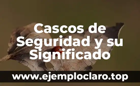 Cascos de Seguridad y su Significado