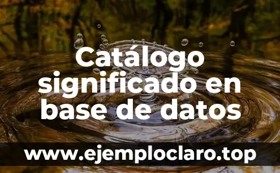 Aritmética: La Base de las Matemáticas 6 Catálogo significado en base de datos