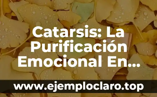 Investigar el significado de destilación: La purificación de líquidos 6 Catarsis: La Purificación Emocional En La Tragedia