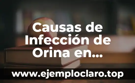 Causas de Infección de Orina en Hombres: ¿Qué los Provoca?