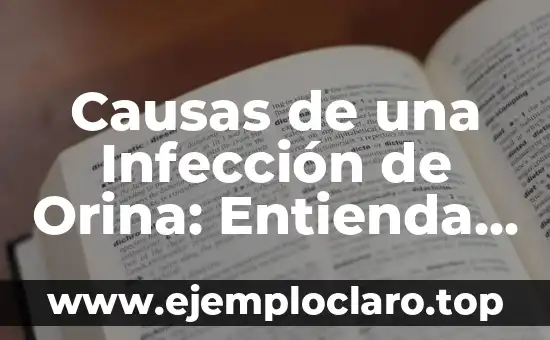 Causas de una Infección de Orina: Entienda los Riesgos y Prevención