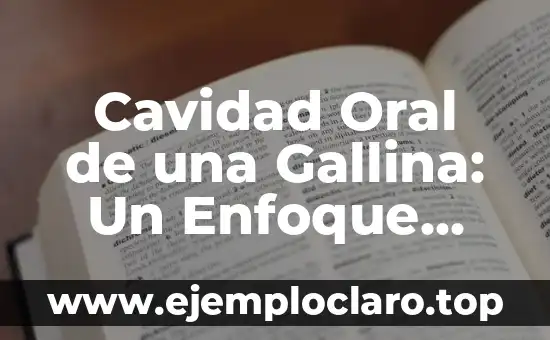 Tipo de Lenguaje Oral Significado: La Esencia de la Comunicación Efectiva 3 Cavidad Oral de una Gallina: Un Enfoque Detallado