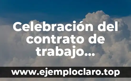 Capital de Trabajo: Concepto Fundamental en Finanzas Empresariales 6 Celebración del contrato de trabajo significado
