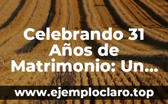 Bodas de Papel Aluminio: Un Concepto Único 7 Celebrando 31 Años de Matrimonio: Un Hitito Único