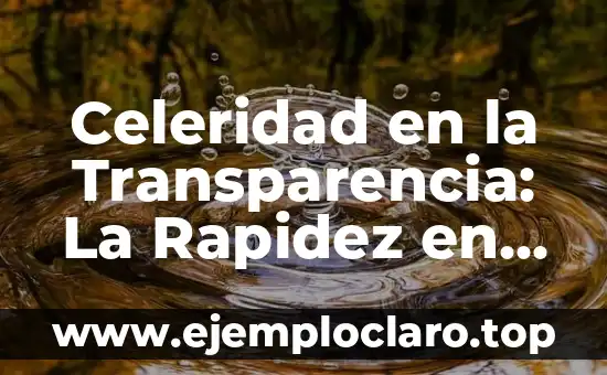 Teoría de la Información Significado 6 Celeridad en la Transparencia: La Rapidez en la Información
