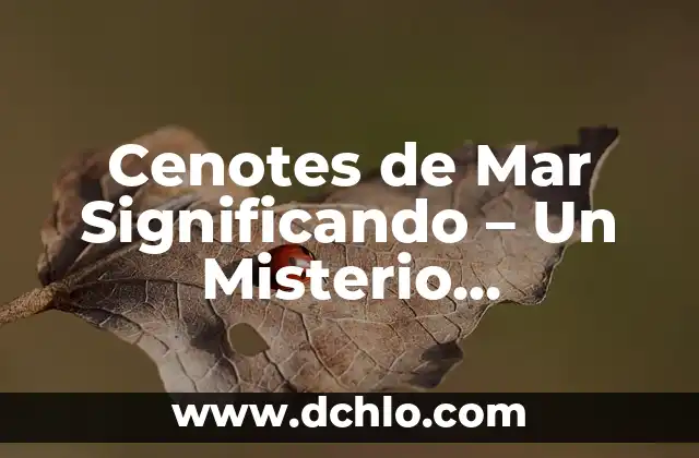 El Mazo de Yemaya: Un Simbólico Ritual en el Mar 4 Cenotes de Mar Significando – Un Misterio Submarino