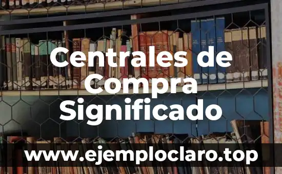 Centrales de Compra Significado