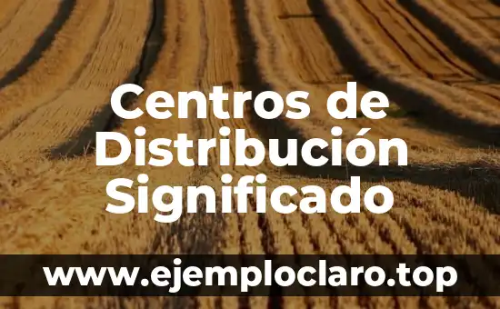 Centros de Distribución Significado