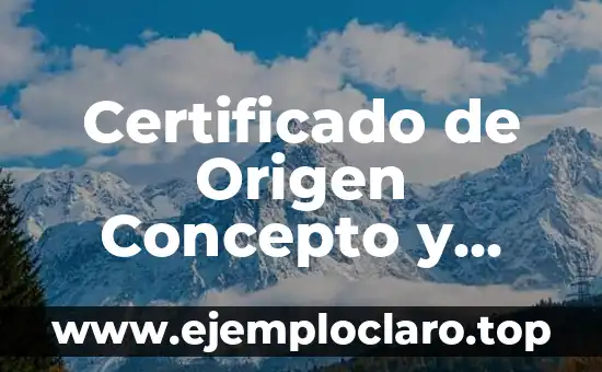 Certificado de Origen Concepto y Significado
