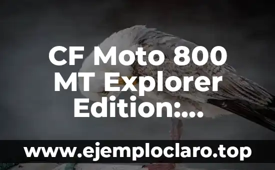 CF Moto 800 MT Explorer Edition: Análisis y Review de la Nueva Edición de la Moto de Aventuras