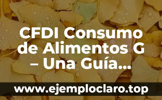 Cómo hacer aceite de linaza para consumo 7 CFDI Consumo de Alimentos G – Una Guía Detallada