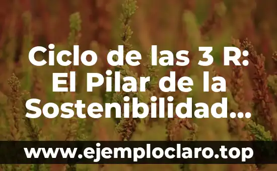 Concepto de Sostenibilidad y su Significado 6 Ciclo de las 3 R: El Pilar de la Sostenibilidad Ambiental