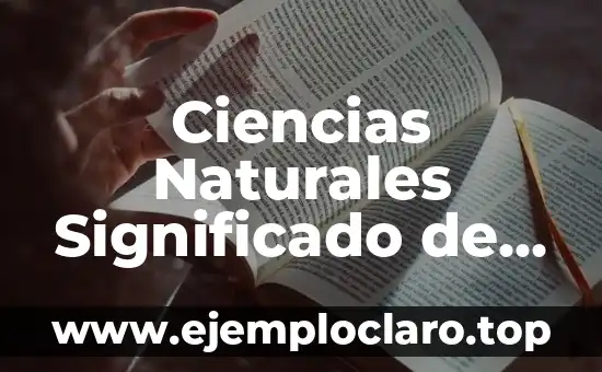 Cuando se llegó a la luna por primera vez: La Historia detrás de la Misión Apolo 11 8 Ciencias Naturales Significado de En Vez