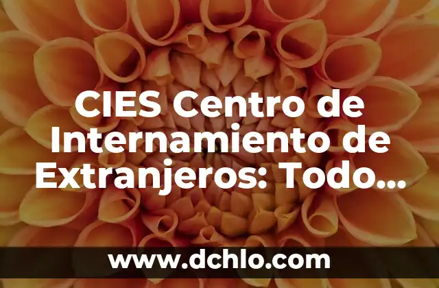 Como hacer contrato de trabajo a extranjeros 6 CIES Centro de Internamiento de Extranjeros: Todo lo que Debes Saber