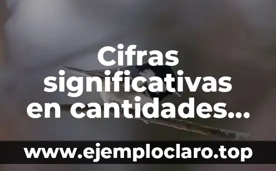 Concepto de Cifras Significativas y Ejemplos 6 Cifras significativas en cantidades de medidas