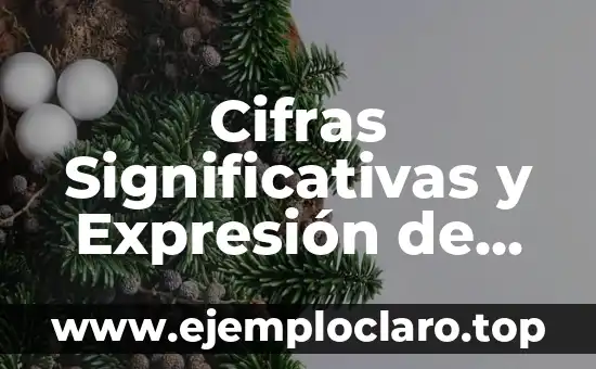 Concepto de Cifras Significativas y Ejemplos 4 Cifras Significativas y Expresión de Resultados