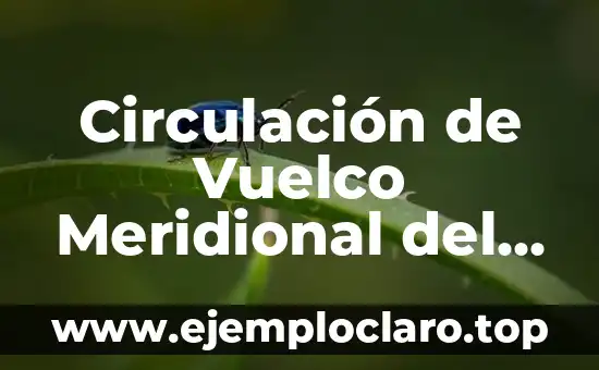 Circulación de Vuelco Meridional del Atlántico (AMOC): ¿Qué es y por qué es importante?