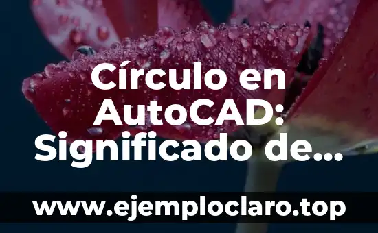 El significado de 'predilecta' en el diccionario: Guía completa sobre su definición y uso 5 Círculo en AutoCAD: Significado de Símbolos y Uso Práctico