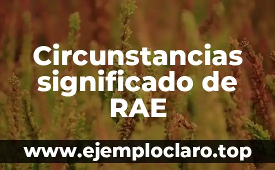 Circunstancias significado de RAE