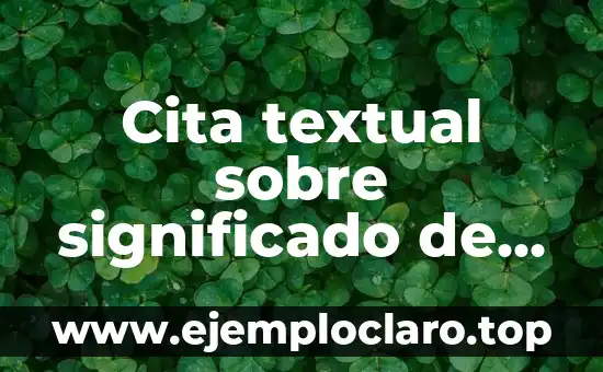 C贸mo hacer una cita textual 5 Cita textual sobre significado de administraci贸n