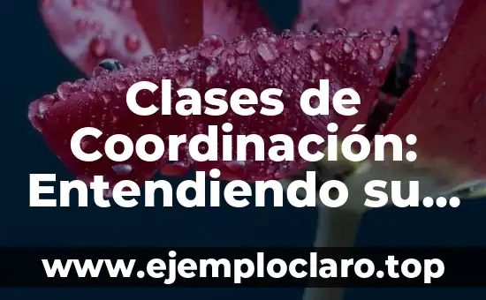 Concepto, definición y significado de coordinación 7 Clases de Coordinación: Entendiendo su Importancia