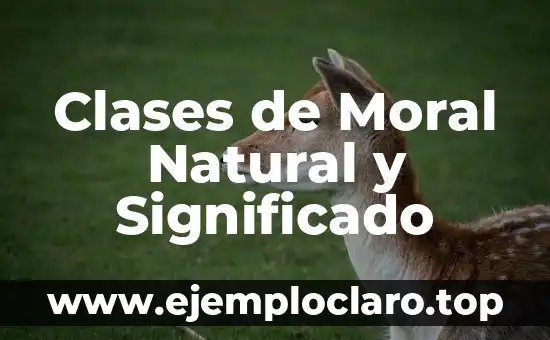 Cuadro de Valores: Un Marco para la Ética y la Moral 7 Clases de Moral Natural y Significado