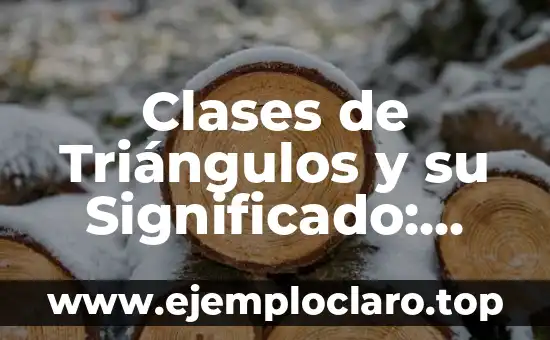 Cita sobre el significado de ser sacerdote 6 Clases de Triángulos y su Significado: Una Guía Completa