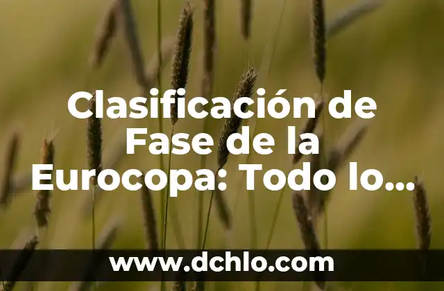 Epistemología de la Nosografía: El Estudio del Conocimiento en la Clasificación de Enfermedades 8 Clasificación de Fase de la Eurocopa: Todo lo que Necesitas Saber