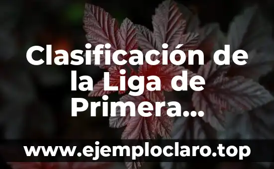 Wonder Woman Liga de la Justicia: La Unión de la Heroína Más Poderosa con los Héroes Más Legendarios 3 Clasificación de la Liga de Primera División de España: Todo lo que Necesitas Saber
