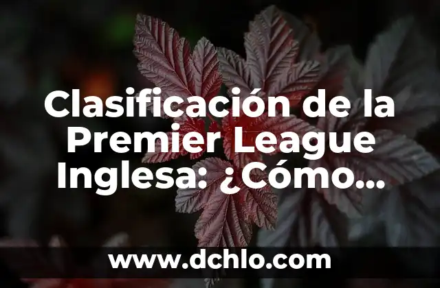 Los emblemas que representan la identidad inglesa 8 Clasificación de la Premier League Inglesa: ¿Cómo Funciona?