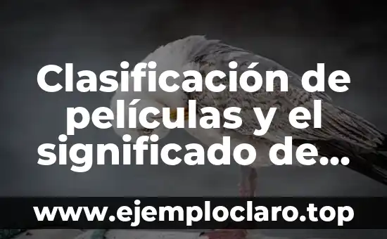 ¿Es verdad que Anuel AA ha muerto? Desmintiendo los rumores sobre la muerte del artista 3 Clasificación de películas y el significado de las letras AA