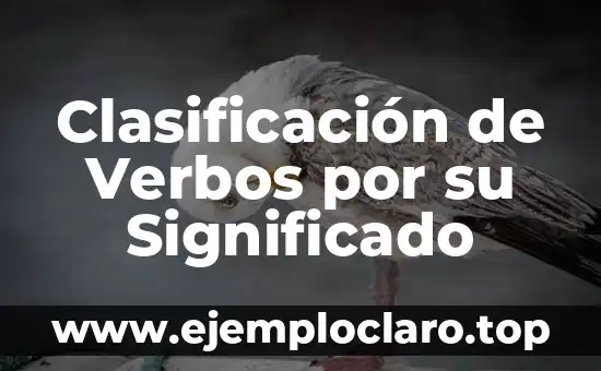 Cita sobre el significado de ser sacerdote 5 Clasificación de Verbos por su Significado
