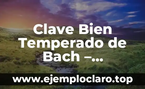 Zona de Vigilancia Aduanera: Un Concepto Clave en la Seguridad Fronteriza 4 Clave Bien Temperado de Bach – Significado y Contexto Musical