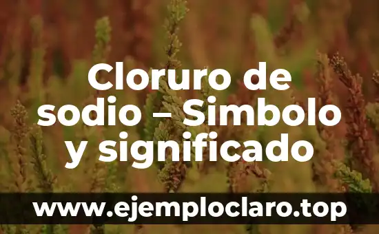 ¿Qué es el Cloruro de Sodio? - Definición, Propiedades y Usos 5 Cloruro de sodio – Simbolo y significado