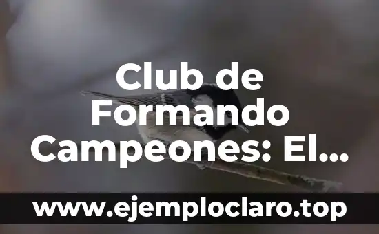Michel Foucault y el Poder de la Escritura 3 Club de Formando Campeones: El Poder de la Formación y el Éxito