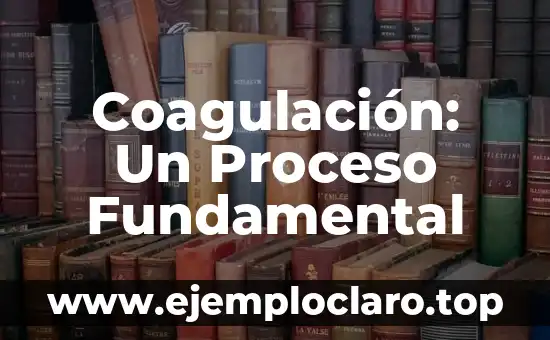 Fabricar: Concepto y Proceso de Manufactura 5 Coagulación: Un Proceso Fundamental