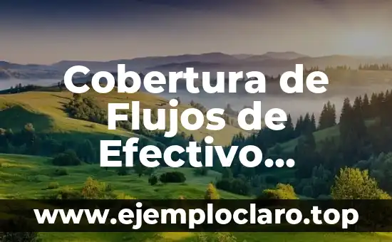 Concepto y significado de estrategia libros: Guía Completa 8 Cobertura de Flujos de Efectivo Significado – Guía Completa