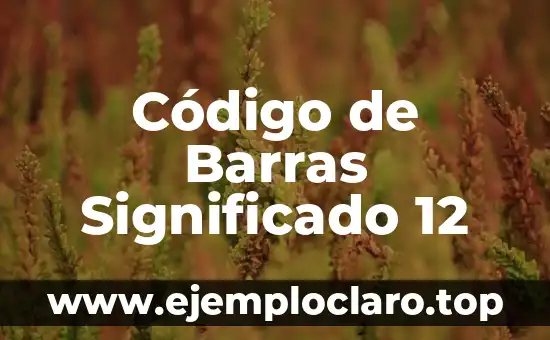 Tatuajes de Códigos de Barras: Significado y Simbolismo 6 Código de Barras Significado 12