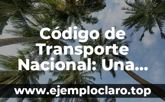 Cómo hacer el abono transporte Madrid 5 Código de Transporte Nacional: Una Guía Completa