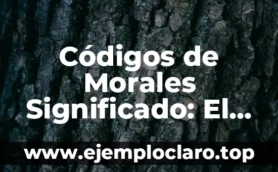 Disciplina: El Arte de la Conducta Regulada 7 Códigos de Morales Significado: El Fundamento de Nuestra Conducta