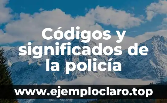 El Significado de Policía Cibernética 4 Códigos y significados de la policía