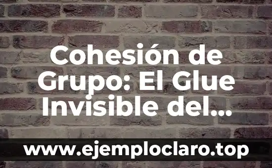 Cohesión de Grupo: El Glue Invisible del Éxito Grupal