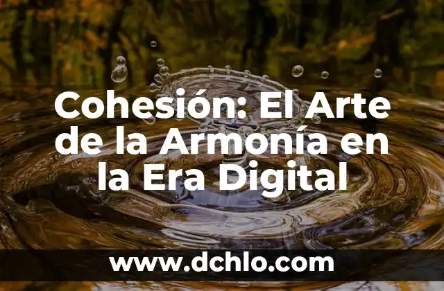 Indización: El arte de organizar datos 4 Cohesión: El Arte de la Armonía en la Era Digital